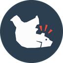 Clumsy Bear Studio Discord Server Icon