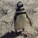 ポテトサラダの作り方