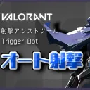 Valorant trigger botのサーバー