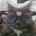 P Hub (Pussyoh Hub)