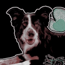 Crittercatt’s Den 🐾 Discord server icon