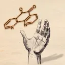 Química Orgánica