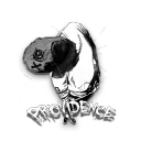 𝙋𝙍𝙊𝙑𝙄𝘿𝙀𝙉𝘾𝙀