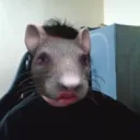Ratinho ghoes
