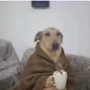 V1