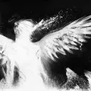 Cosy Cabin ˚ˋঌ˖ discord icon