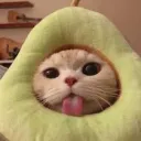 Kitty Emoji Central 1