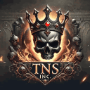 TNS Inc
