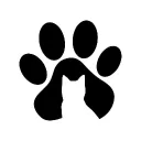 Família felina
