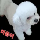 마음이: 殘月