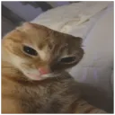 dynoz's server's icon