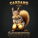Cardano Nuts