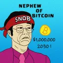 NEPHEW OF BITCOIN | $NOB