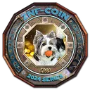 ZNF-COIN