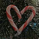 ♡*♡∞:𝐶𝑎𝑛𝑑𝑦 𝐾𝑖𝑛𝑔𝑑𝑜𝑚:∞♡*♡'s icon