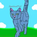 Offical Spottedtail Discord Server