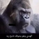 مجموعة معاقين Discord server icon