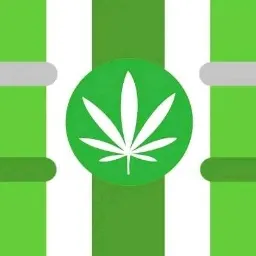 Weeden™ — monitoramento do servidor Discord, estatísticas e classificação