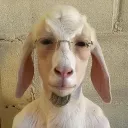 VDaB: SE Application and bootcamp