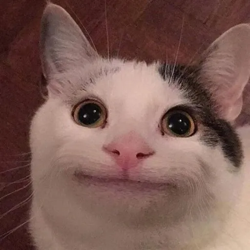 TruKa — мониторинг Discord сервера, статистика и рейтинг