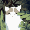 あ 　.  Sonari 🌿  ໒꒱