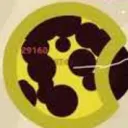 Squadcord