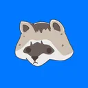 Raccoons Gathering