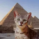 Egypt | مصر
