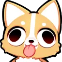 Le serveur de Shynouh 🌙