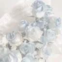 .gg/crystall’s gems 💎