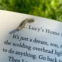 𓆩⟡𓆪Reading Club𓆩⟡𓆪