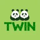 Twin Finance