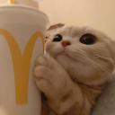 °Karo’s McDonald's° icon