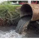 Sewage Gobblers