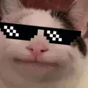 $BELUGA CAT ON SOL