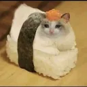 Тарелка киберкотлет