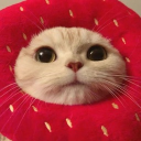 xore Discord server icon