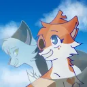 -𝓒𝓞𝓨𝓞𝓣𝓔 𝓒𝓞𝓡𝓝𝓔𝓡-