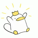 ‧ ₊ ˚ ❀quack ❀ ˚ ₊ ‧