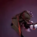 Doom Coaliton
