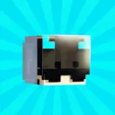The Swifters