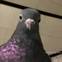 opiumomen