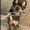 Investigation server Discord server icon