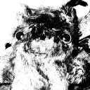 ₊ ⊹ ᶻz The Den !! ␥ avatar