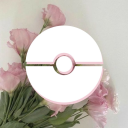 PMDRP: Starry Skies and Bright Dreams