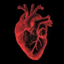 BlackBile Discord server icon