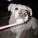 𝐒𝐢𝐥𝐢'𝐬 𝐏𝐨𝐫𝐭𝐟𝐨𝐥𝐢𝐨
