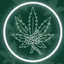 High N Tied