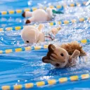 the calico critters