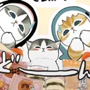 ⁺  🐈   hiraeth    ♡    bids ﹒ mm